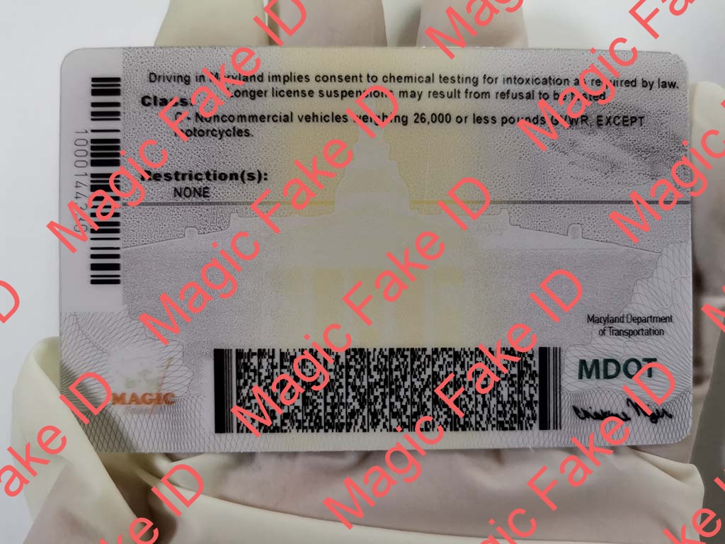 New Maryland Driver License - Image 4