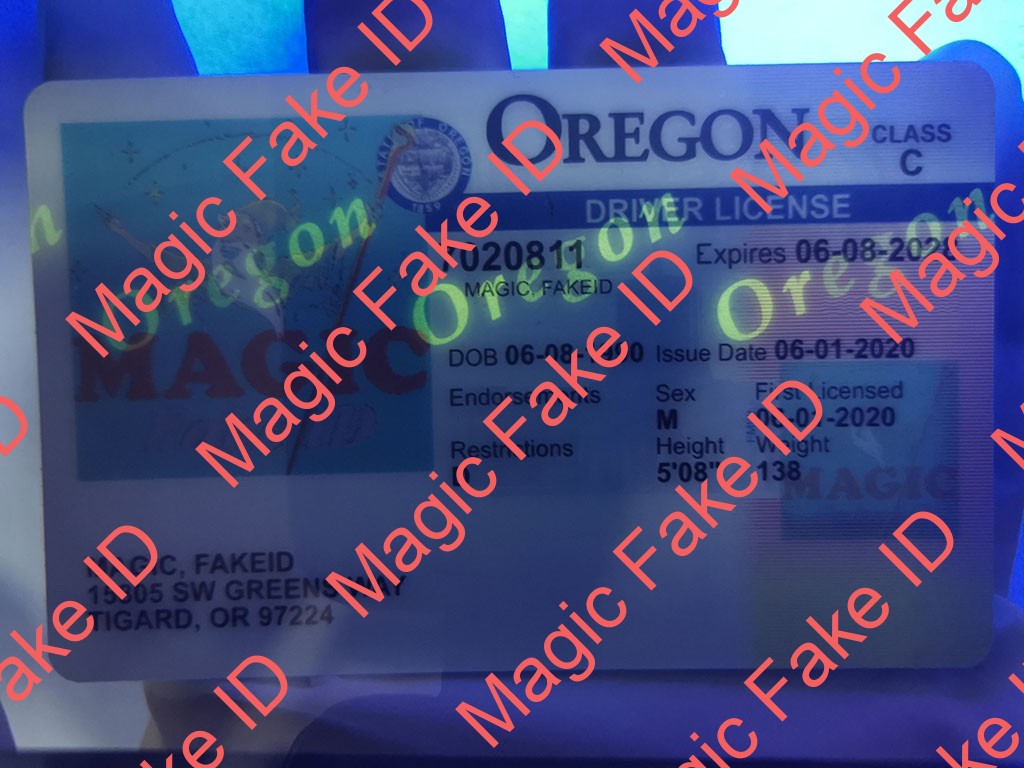 Old Oregon Driver License - Image 2
