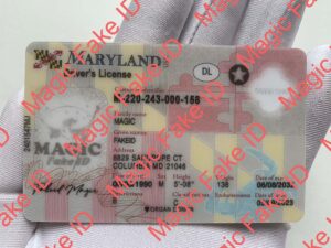 New Maryland Driver License Polycarbonate - Magic Fake IDs