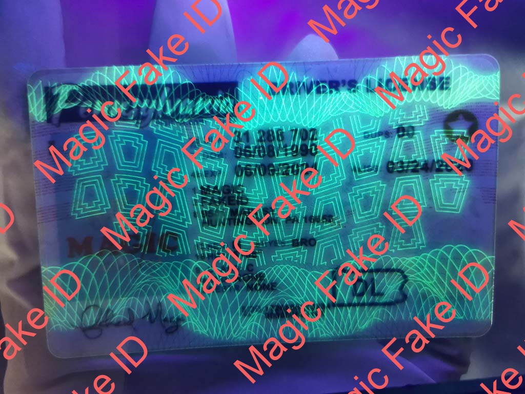 New Pennsylvania Driver License - Image 2