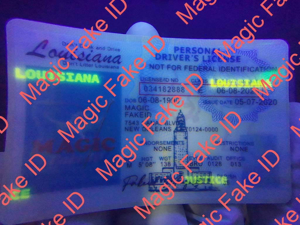 Louisiana Driver License - Image 2