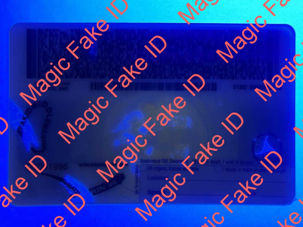 Wisconsin Driver License Polycarbonate 2023 - Image 2