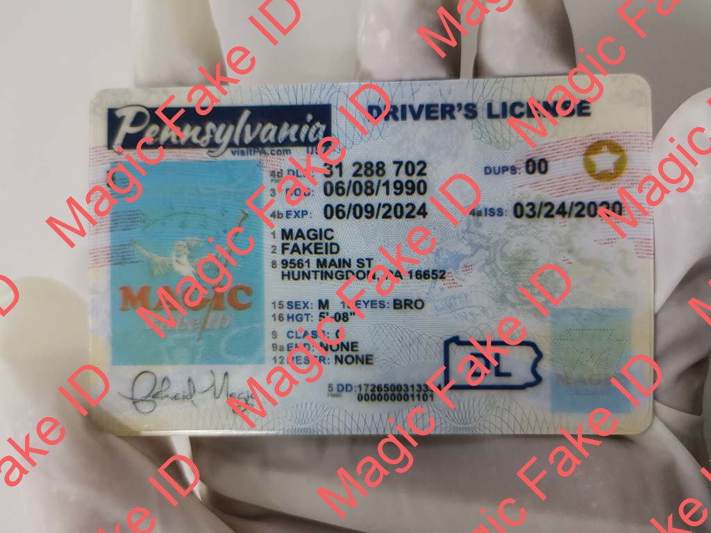 New Pennsylvania Driver License