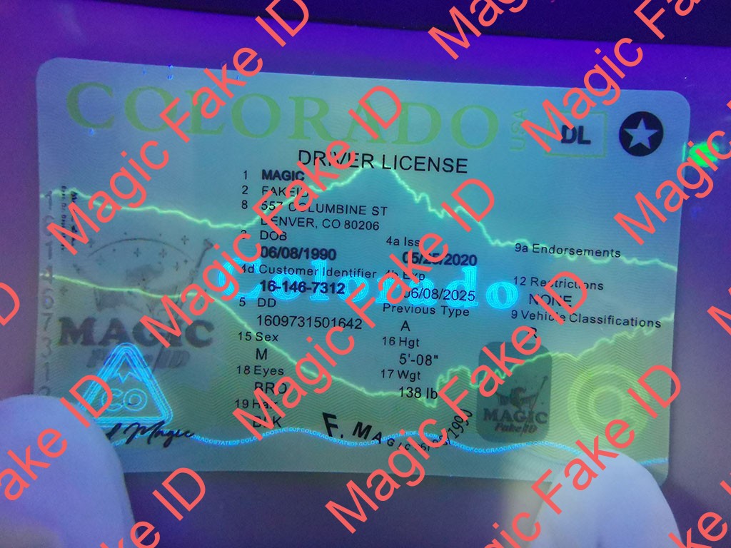 New Colorado Driver License - Image 3