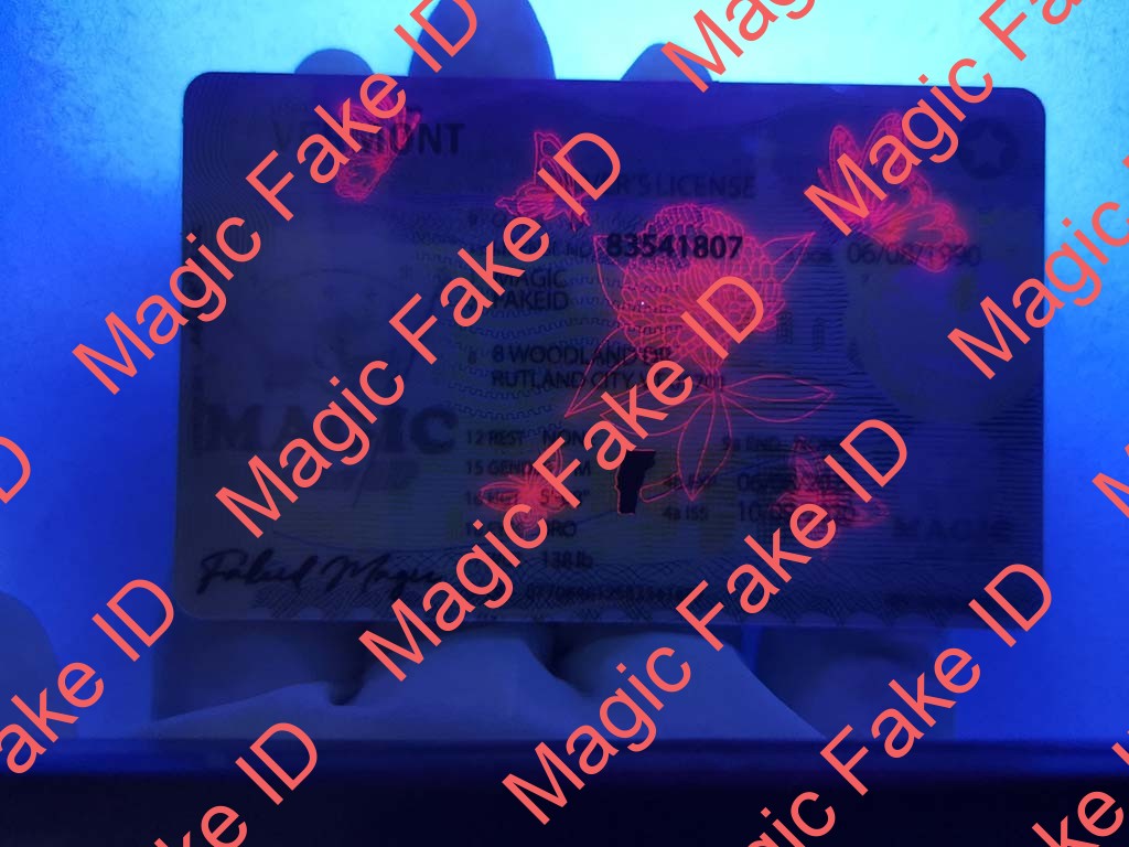 Vermont Driver License - Image 3