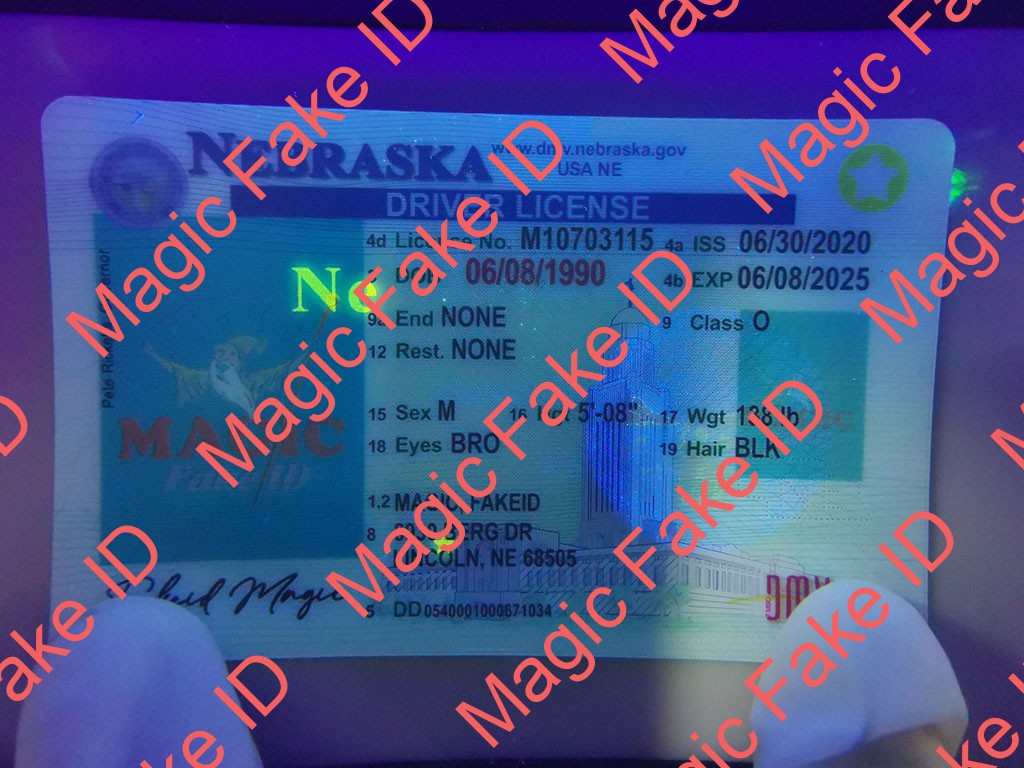 Nebraska Driver License - Image 3