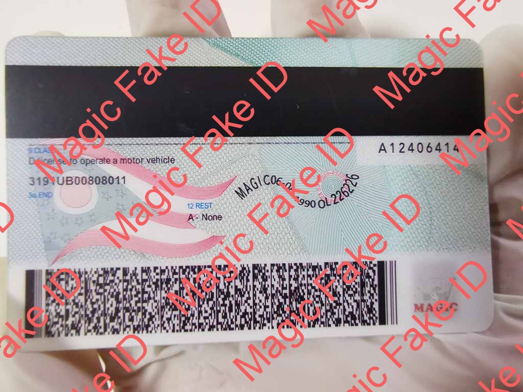 New Ohio Driver License - Image 4