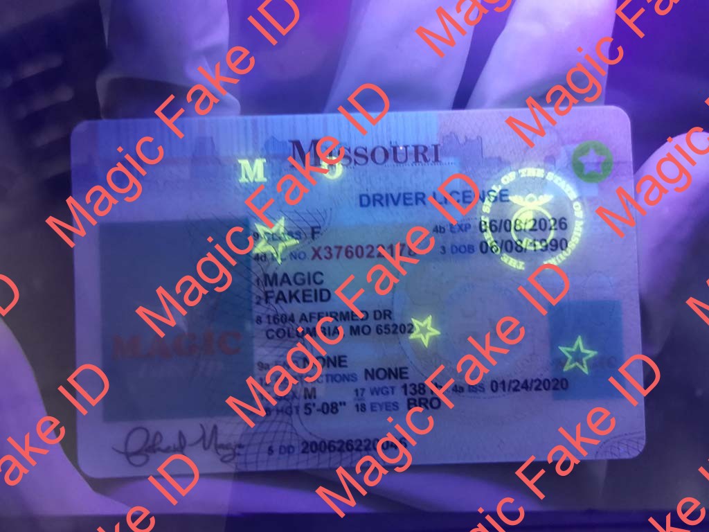 Missouri Driver License - Image 3