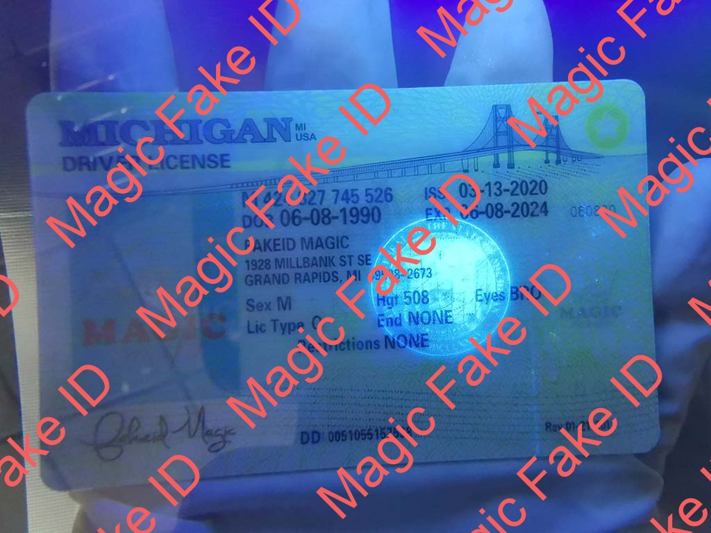 Michigan Driver License - Image 3