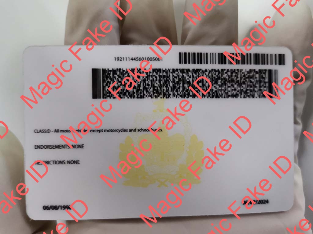 Vermont Driver License - Image 4