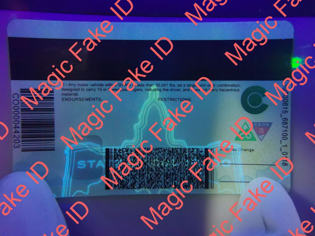New Colorado Driver License - Image 2