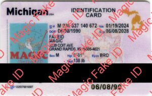 New Michigan Identification Card for sale