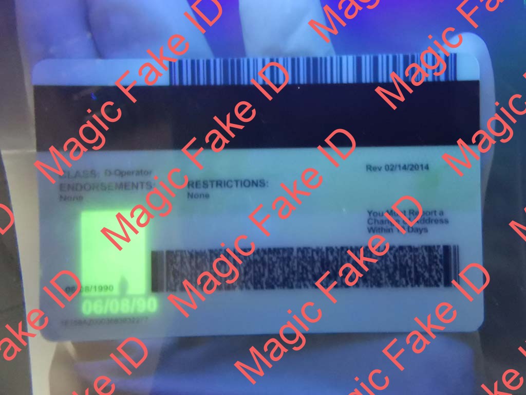 Arizona Driver License - Image 2