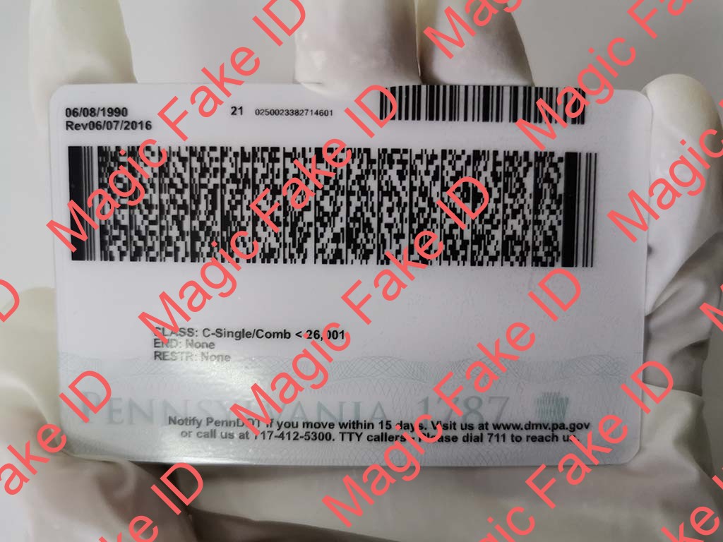 New Pennsylvania Driver License - Image 3